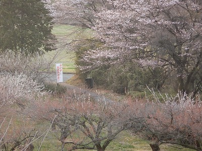 DSCN1731.jpg
