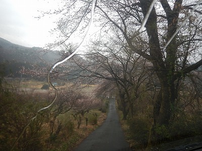 DSCN1990.jpg